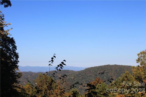 99999 Abingdon Way sold home in Peach Knob Meadows, Asheville, NC