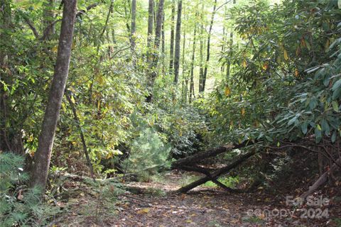 Tbd Lookout Drive 16 sold home in Laurel Hills, Pisgah Forest, NC