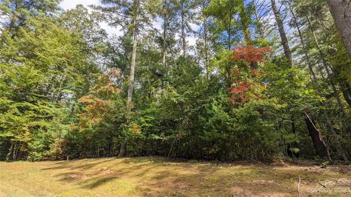 Tbd Mountain Brook Trail 3