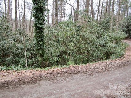 Homes in Toxaway Falls, Lake Toxaway