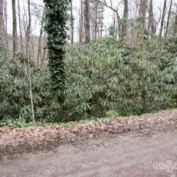 Lot 21 Toxaway Falls Drive