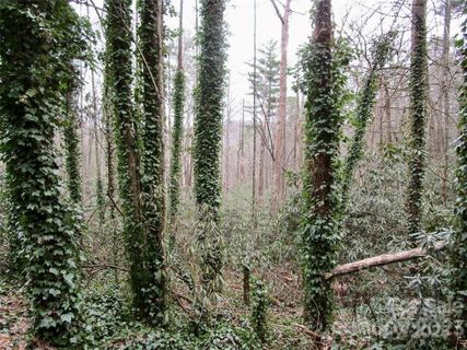 Lot 22 Toxaway Falls Drive active home in Toxaway Falls, Lake Toxaway, NC
