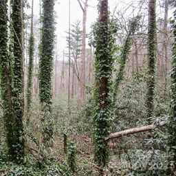 Lot 22 Toxaway Falls Drive