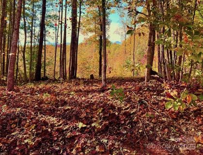 1 85 Acres Lot 925 High Valley Way
