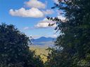 310 High Cliff Drive sold home in Waynesville, SC