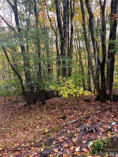 164 Wild Daisy Lane sold home in Charter Hills, Beech Mountain, NC