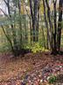 164 Wild Daisy Lane sold home in Beech Mountain, SC