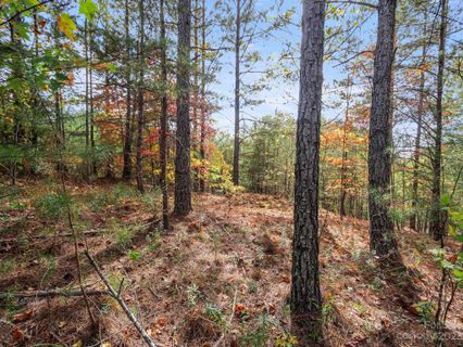 00 River Walk Lane 18 sold home in Contuck Preserve, Mill Spring, NC