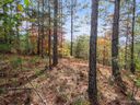 00 River Walk Lane 18 sold home in Mill Spring, SC
