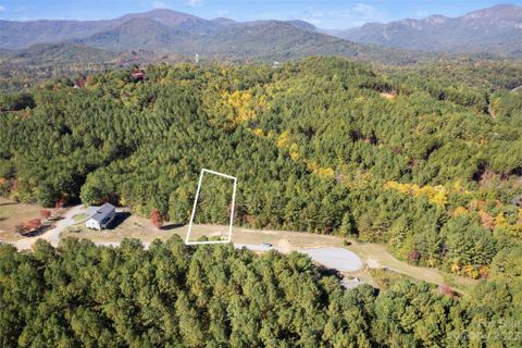 Homes in The Pinnacle At Ridgeview, Rutherfordton