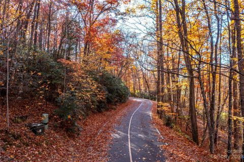 Lot 86 W Christy Trail