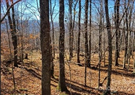 109 Pinnacle Ridge Road sold home in Pinnacle Ridge, Beech Mountain, NC
