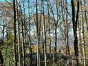 L 31a Skye Drive sold home in Pisgah Forest, SC