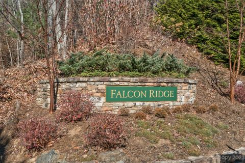 63 Boulder Creek Way sold home in Falcon Ridge At Haw Creek, Asheville, NC