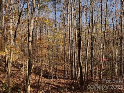 491 Patriots Way sold home in Mountain Brook, Clover, SC