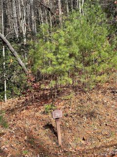 0000 Juniper Berry Lane active home in Pinnacle Falls, Zirconia, NC