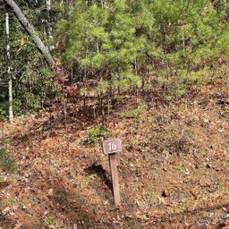 0000 Juniper Berry Lane