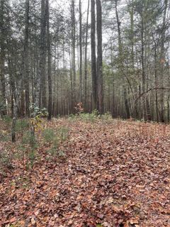 50 Mountain Escape Drive active home in Pinnacle Falls, Zirconia, NC
