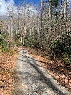 Tbd Greybeard Trail sold home in Mountain Retreat, Montreat, NC
