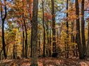 Lot 28 Hidden Lake Parkway sold home in Nebo, SC