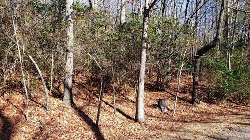 Homes in Sequoyah Woods, Brevard