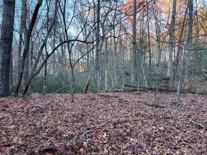 0 Rocky Mount Drive 52 sold home in Carolina Mountains, Lake Lure, NC