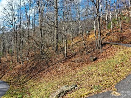 00 Basswood Cove