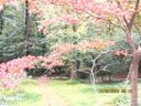 7033 Lakeside Drive sold home in Charlotte, SC