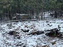 130 And 132 Teaberry Trail sold home in Beech Mountain, SC