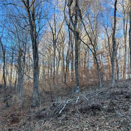 000 Chestnut Lane