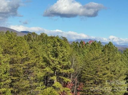 000 Palisade Drive 22 sold home in The Pinnacle at Ridgeview, Rutherfordton, NC