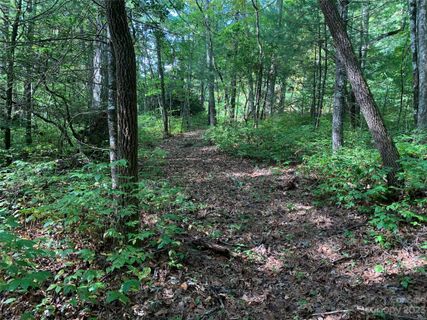 0000 Green Hollow Lane