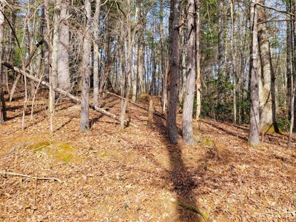 00000 Delacy Drive sold home in Westbridge, Hendersonville, NC