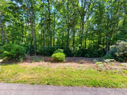 Tbd Pisgah Forest Drive 24-F