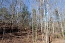 000 Wildwood Mountain Lane 19 sold home in Marion, SC