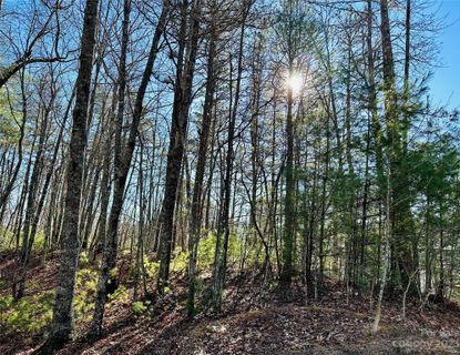 71 Turkey Trot Trail active home in French Broad Crossing, Marshall, NC