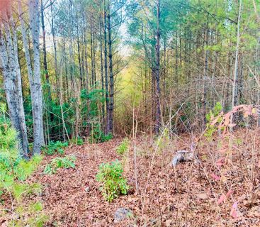 1 93 Acres Lot Cb 6 Blowing Pines Court Lot CB-6