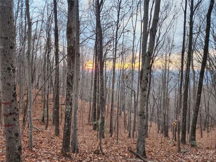 22 Amelia Lane sold home in Golden Valley Estates, Bostic, NC