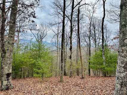 275 Raccoon Run 24
