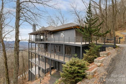 24 Cary Lane sold home in Peach Knob Meadows, Asheville, NC