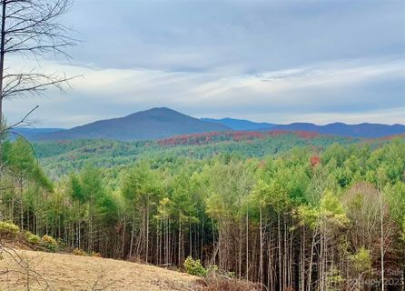 3 61 Acres 6167 Painted Ridge Trail Lot 752