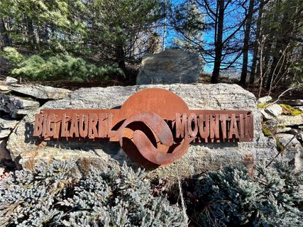 278 Wild Iris Lane 46 sold home in Big Laurel Mountain, Marshall, NC