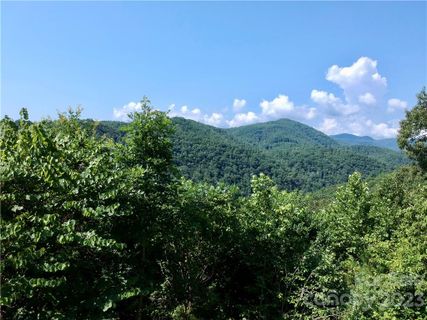 677 White Water Way active home in French Broad Crossing, Marshall, NC