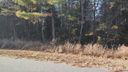 120 Pebble Creek Drive 53 sold home in Stony Point, SC