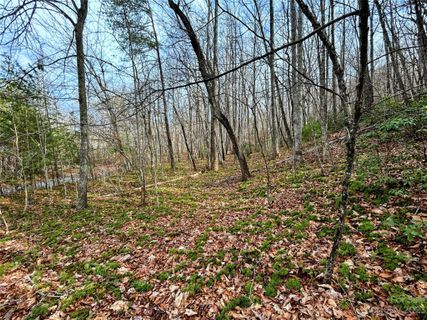 Lot 7 Azalea Way active home in Little Warrior Mtn Estates, Saluda, NC