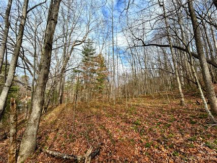Lot 8 Azalea Way active home in Little Warrior Mtn Estates, Saluda, NC