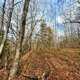 Lot 8 Azalea Way