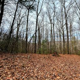 Lot 11 Rhododendron Drive