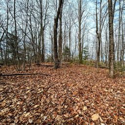 Lot 12 Rhododendron Drive