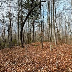 Lot 14 Rhododendron Drive